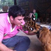 גיא מילשטיין