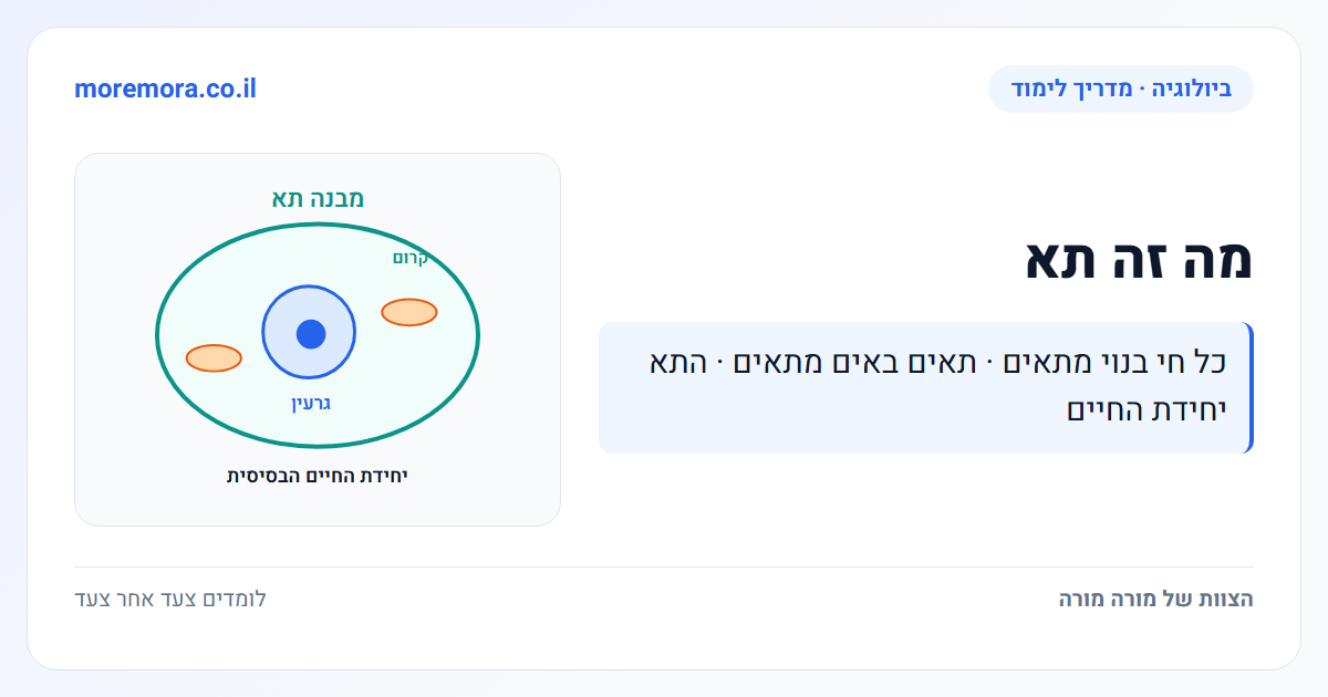 מה זה תא - כל חי בנוי מתאים · תאים באים מתאים · התא יחידת החיים