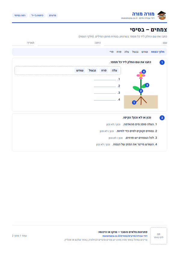 צמחים דף עבודה – כיתות ב׳–ד׳ – דף עבודה להדפסה
